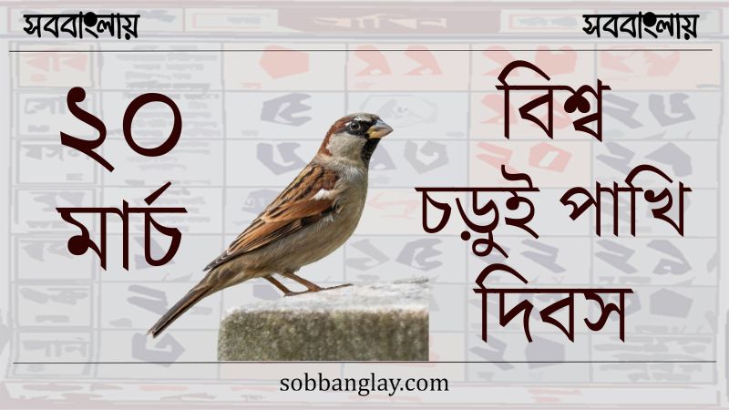 ২০ মার্চ ।। বিশ্ব চড়ুই পাখি দিবস » সববাংলায় ২০ মার্চ ।। বিশ্ব চড়ুই পাখি দিবস