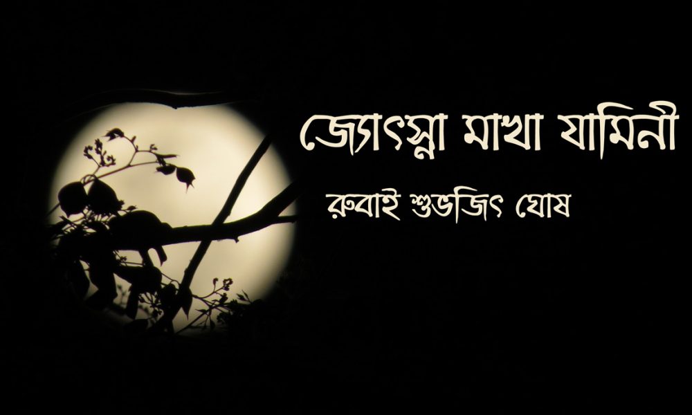 রুবাইয়ের গল্প ।। জ্যোৎস্না মাখা যামিনী