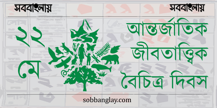 আন্তর্জাতিক জীবতাত্ত্বিক বৈচিত্র্য দিবস