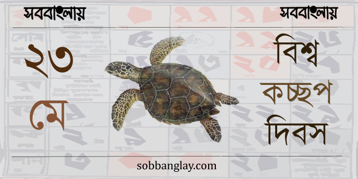 ২৩ মে | বিশ্ব কচ্ছপ দিবস » সববাংলায় ২৩ মে | বিশ্ব কচ্ছপ দিবস