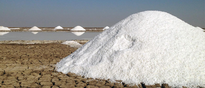 লবণের ইতিবৃত্ত