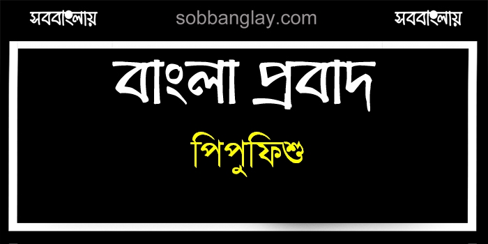 পিপুফিশু » সববাংলায় পিপুফিশু