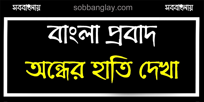 অন্ধের হাতি দেখা