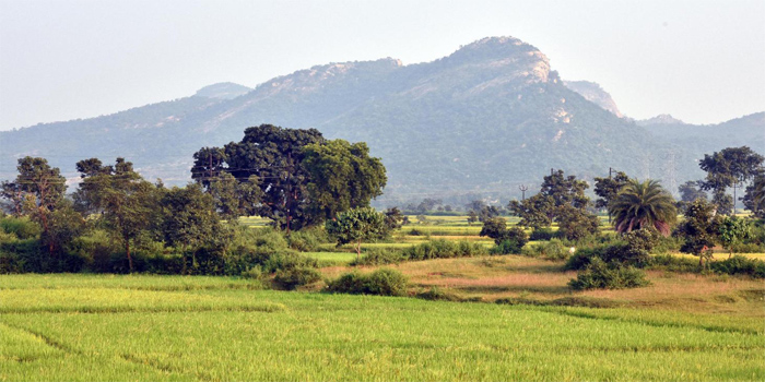 পুরুলিয়া