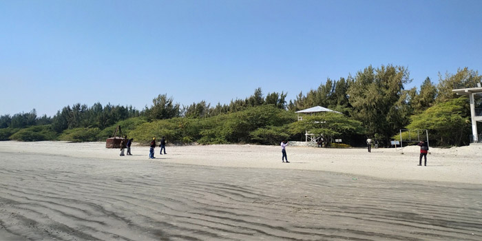 দক্ষিণ চব্বিশ পরগনা জেলা