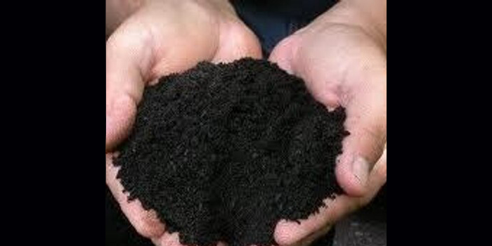 টেরা প্রেটা (পৃথিবীর উর্বরতম সার)