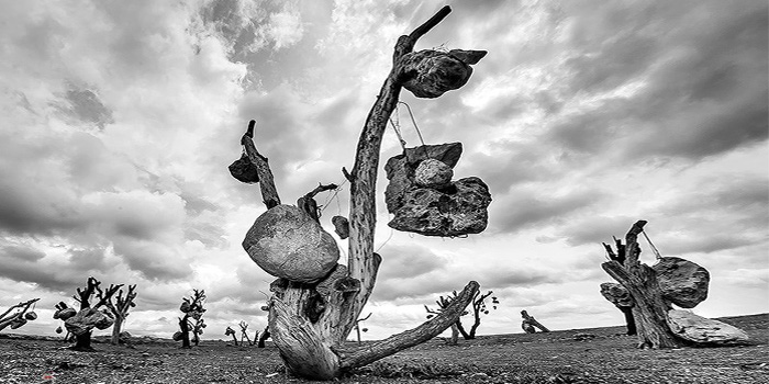 পাথরের বাগান - এক সামান্য ব্যক্তির অসামান্য প্রতিবাদ | সববাংলায় পাথরের বাগান