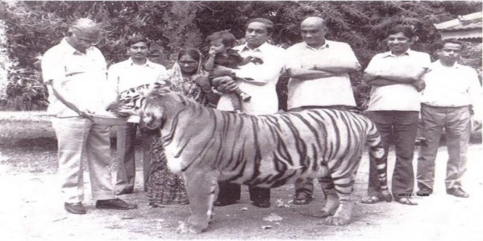 খৈরি একটি বাঘের নাম | সববাংলায় খৈরি