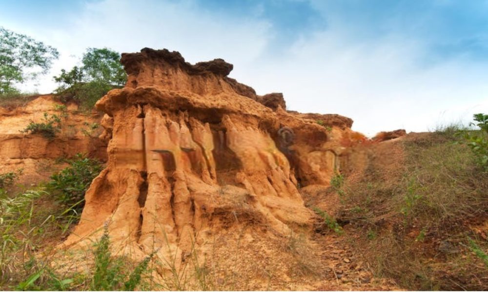 গনগনি ভ্রমণ