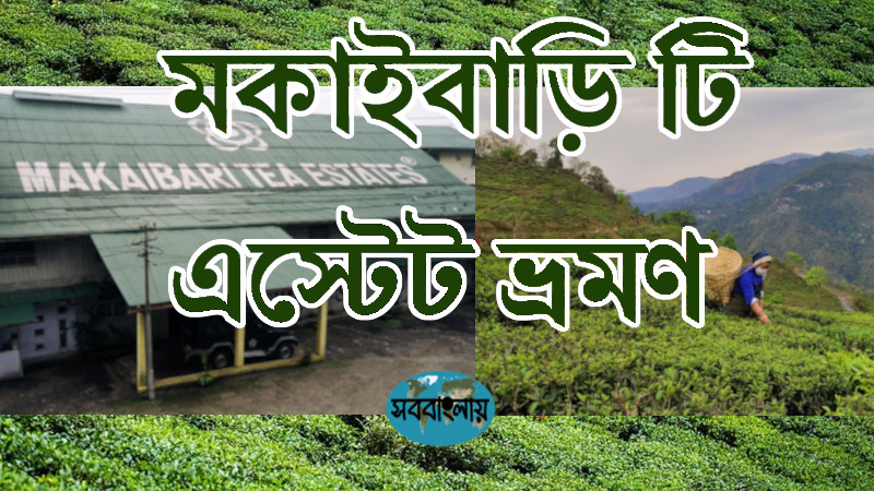 মকাইবাড়ি টি এস্টেট ভ্রমণ » সববাংলায় মকাইবাড়ি টি এস্টেট ভ্রমণ