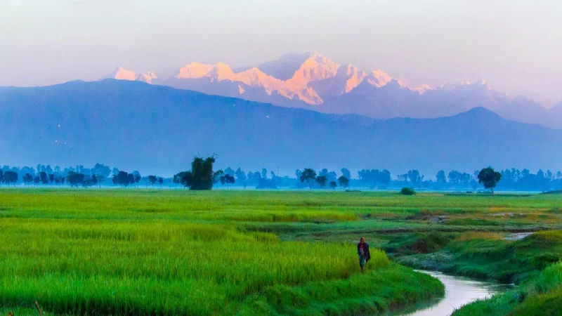 পঞ্চগড় জেলা