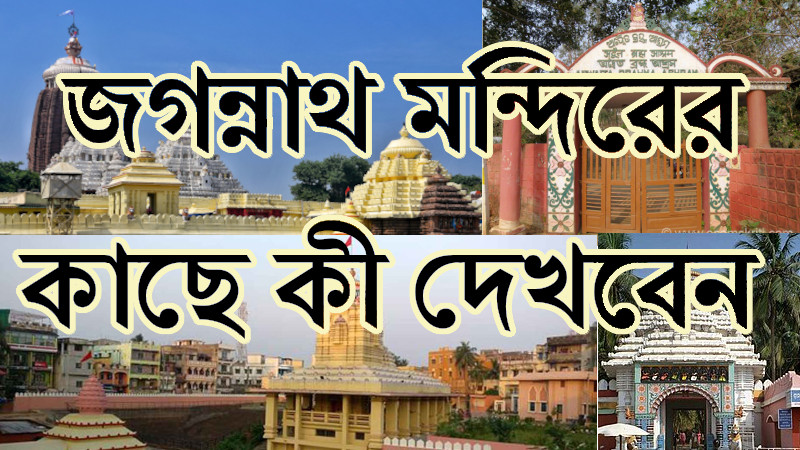 পুরীর জগন্নাথ মন্দিরের কাছে কী দেখবেন | জগন্নাথ মন্দিরের কাছের দর্শনীয় স্থান | সববাংলায় পুরীর জগন্নাথ মন্দিরের কাছে কী দেখবেন | জগন্নাথ মন্দিরের কাছের দর্শনীয় স্থান