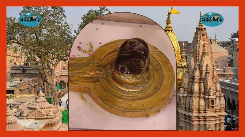 জ্যোতির্লিঙ্গ বিশ্বনাথ