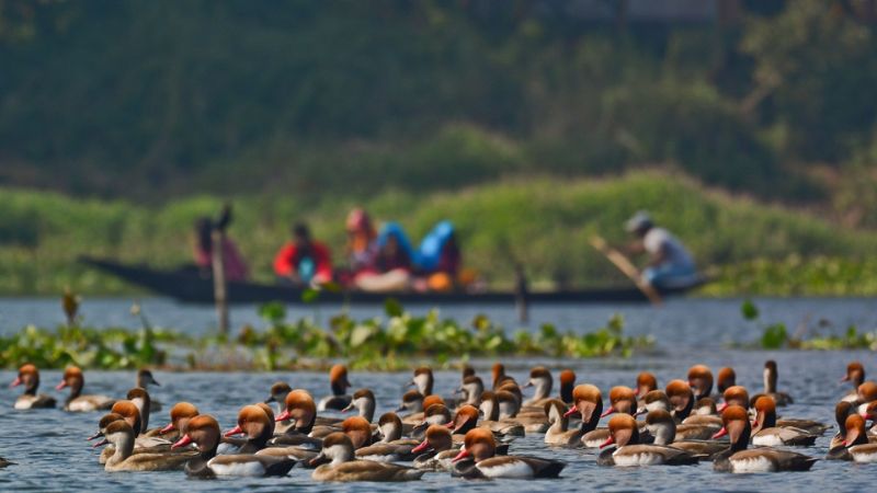 জানুয়ারিতে ঘুরে দেখুন বাংলার পাঁচ জায়গা