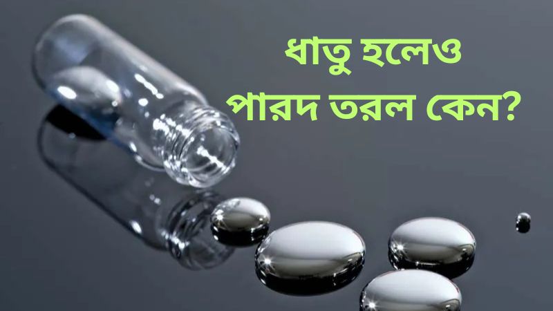 ধাতু হলেও পারদ তরল কেন?