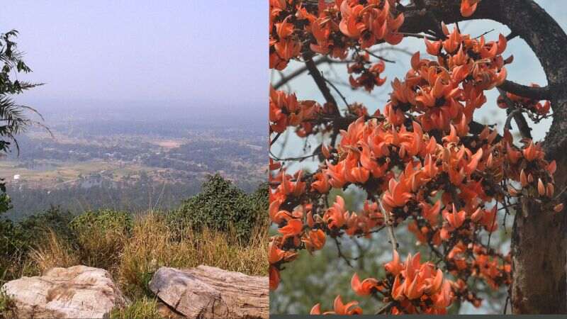 শীতের শেষে ঘুরে আসুন বাঁকুড়া পুরুলিয়া