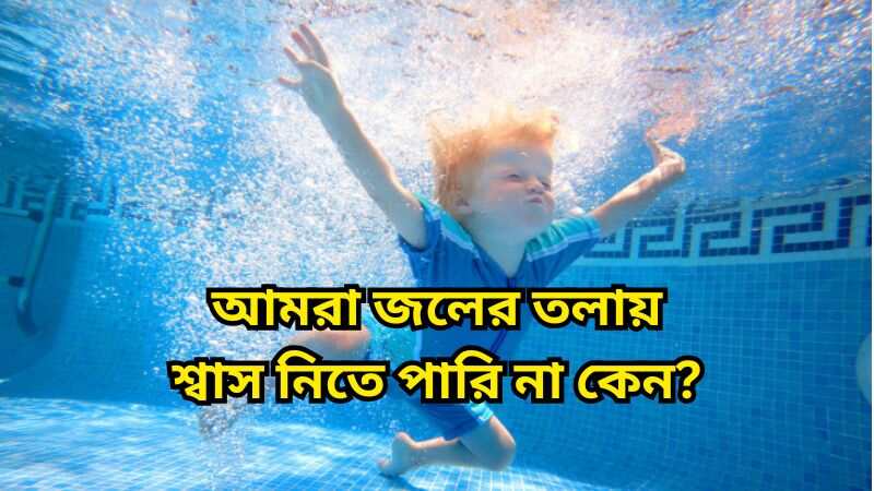 আমরা জলের তলায় শ্বাস নিতে পারি না কেন?