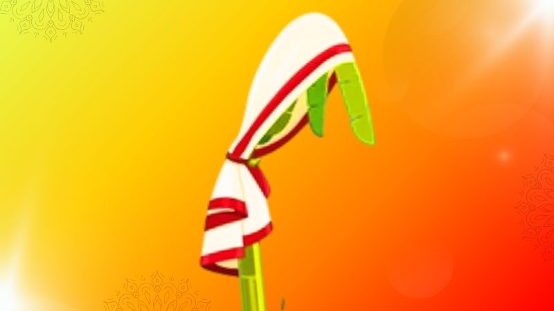 কলাবউ | নবপত্রিকা » সববাংলায় কলাবউ | নবপত্রিকা