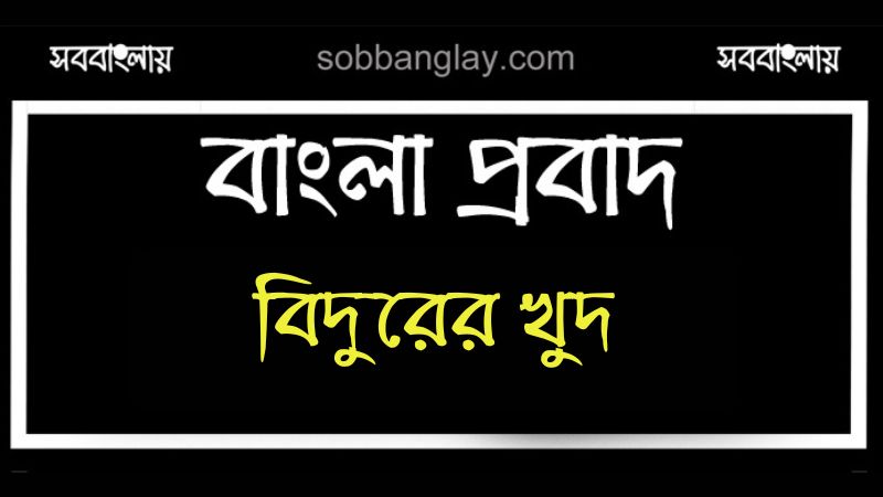 বিদুরের খুদ | সববাংলায় বিদুরের খুদ