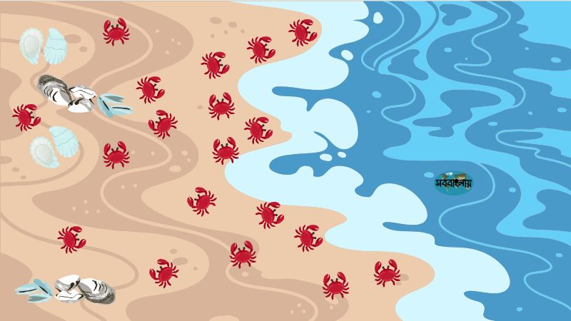 বগুরান জলপাই ভ্রমণ | বগুড়ান জালপাই ভ্রমণ