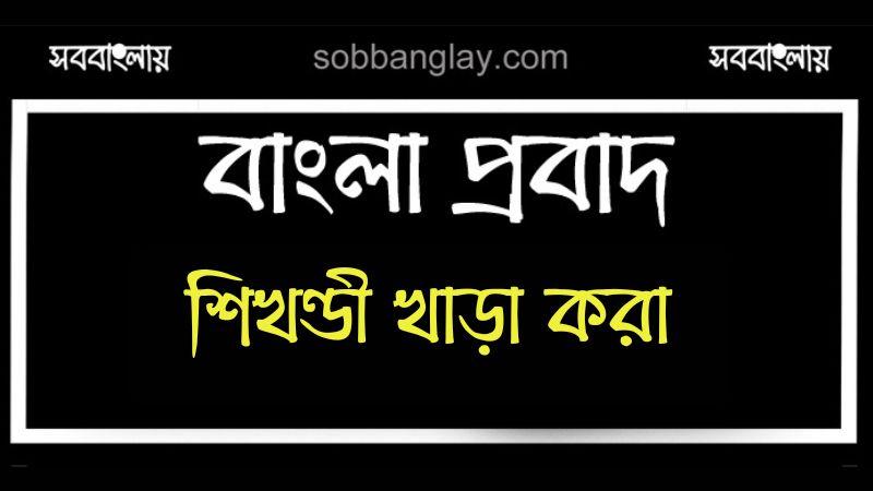 শিখণ্ডী খাড়া করা | সববাংলায় শিখণ্ডী খাড়া করা