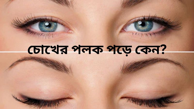 চোখের পলক পড়ে কেন?